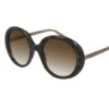 Chloé CH0007S Havana Brown Brown Lenses