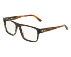Starck Lunette Optique SH3049 Havana Red Pointille Black